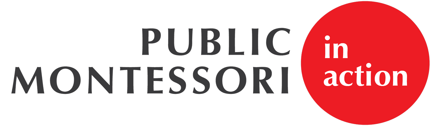 Public Montessori In Action International